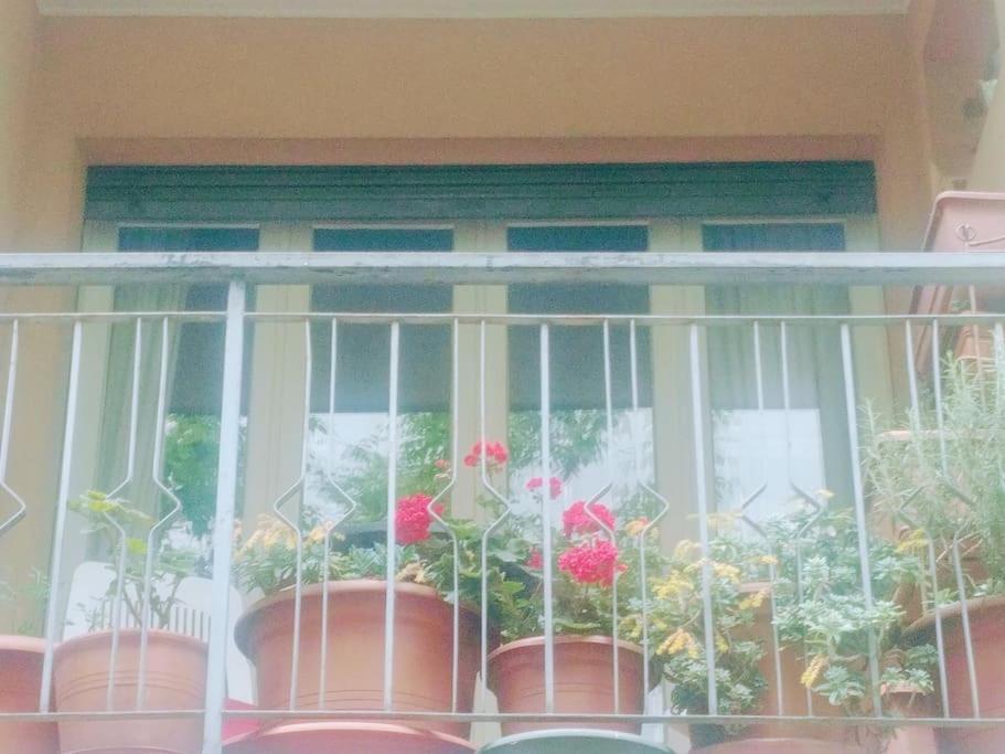 Ampi Spazi, A Piedi In Centro. Apartamento Treviso Exterior foto
